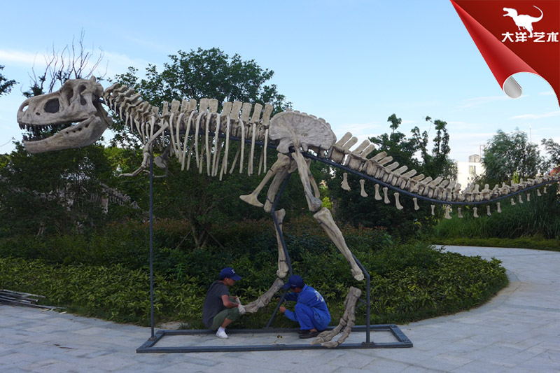 骨架模型-霸王龍