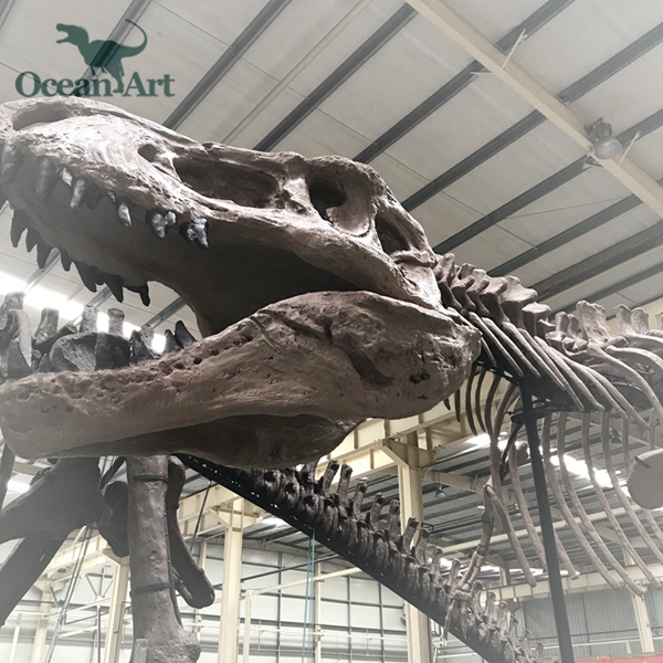 霸王龍骨架-仿真恐龍化石模型定制