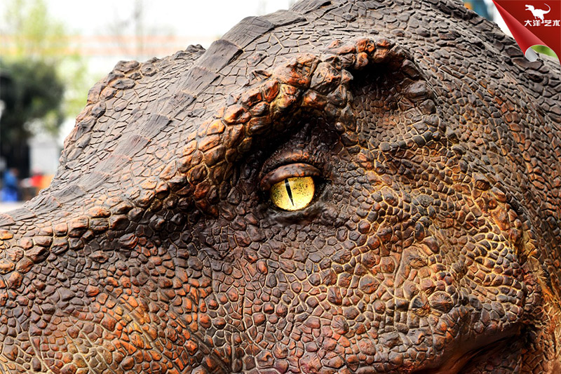 仿真恐龍，霸王龍龍頭模型