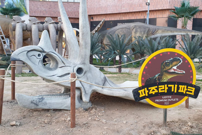 韓國(guó)樂天，因新冠疫情，客戶自己動(dòng)手安裝