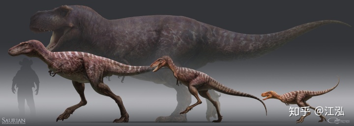 霸王龍一生分為21個(gè)階段，其中兩個(gè)階段最為關(guān)鍵！