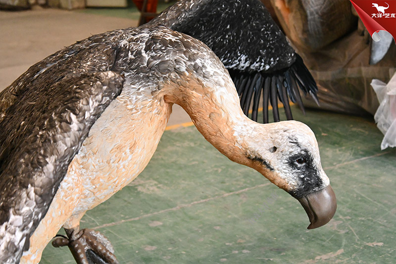 仿真禿鷲模型 動(dòng)物仿真模型制作廠家