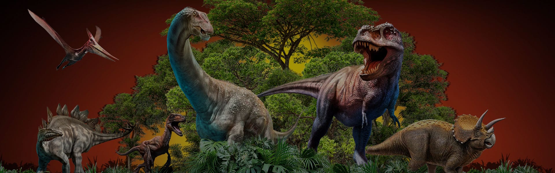 產(chǎn)品頂部區(qū)塊